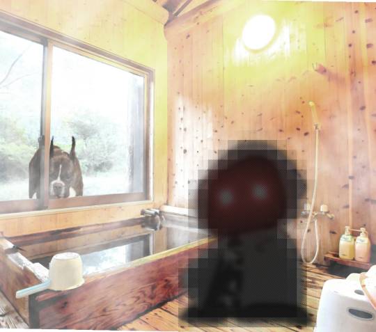 生き物ルーム第18