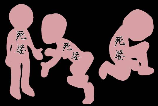 生き物ルーム第18