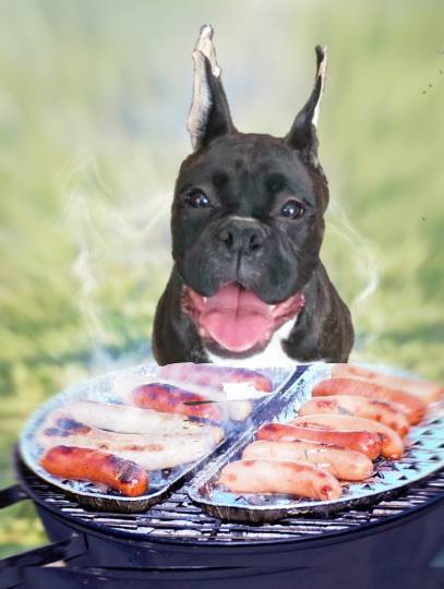 生き物ルーム第18