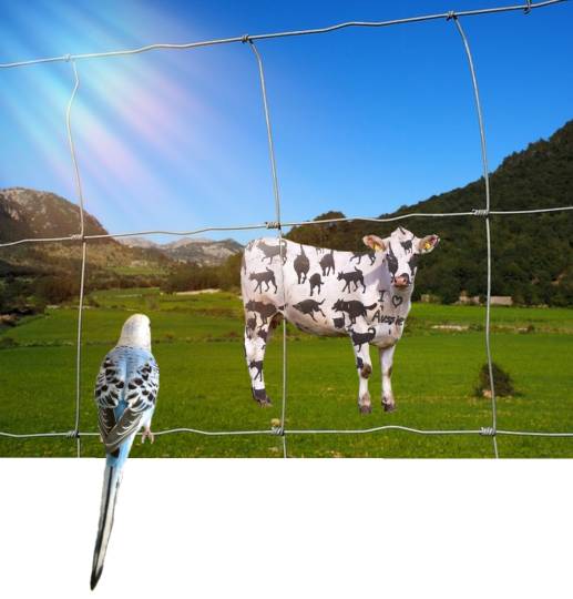 生き物ルーム第18