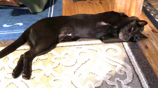 生き物ルーム第18