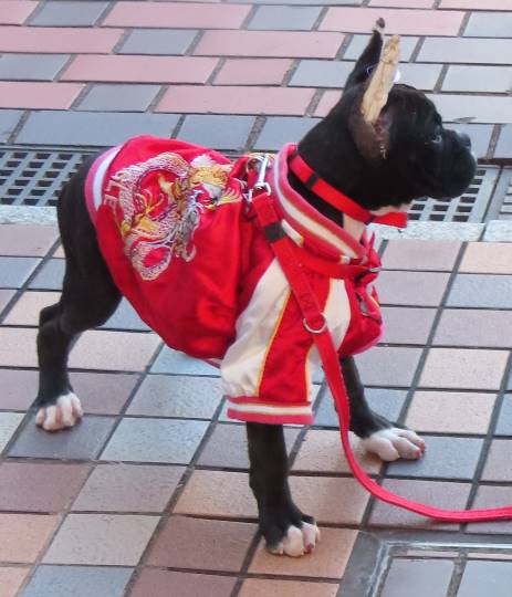 生き物ルーム第18