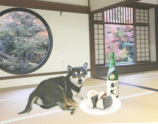 生き物ルーム第17