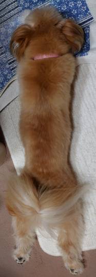 生き物ルーム第18