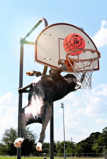 生き物ルーム第18