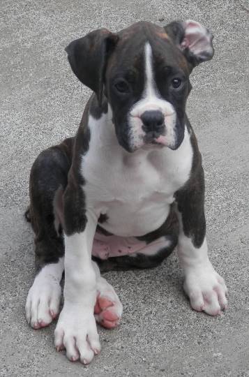 生き物ルーム第17