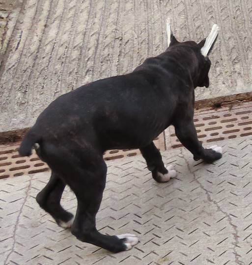 生き物ルーム第18