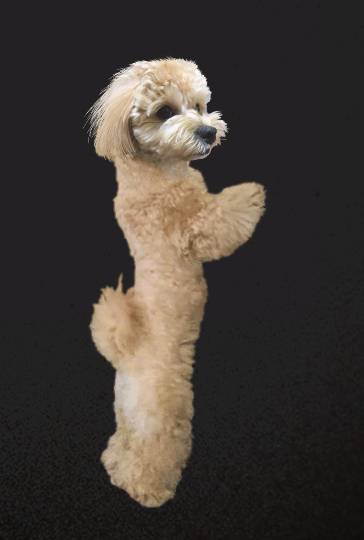 生き物ルーム第17