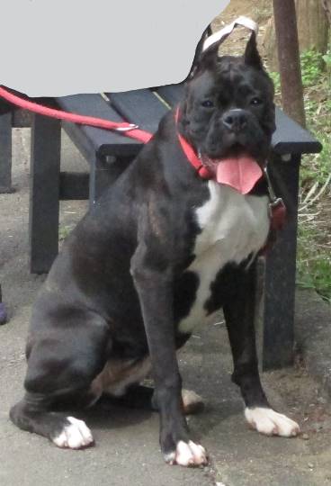 生き物ルーム第18