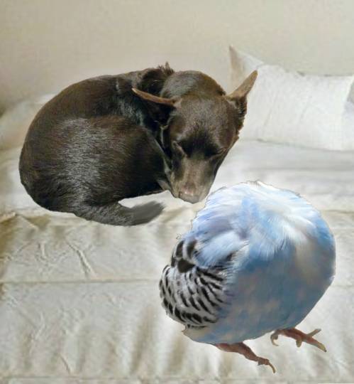 生き物ルーム第18