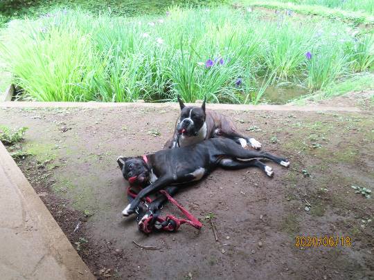 生き物ルーム第18