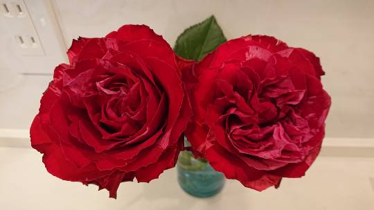 花鳥風月に心を込めて...　(エアー花トピ2)