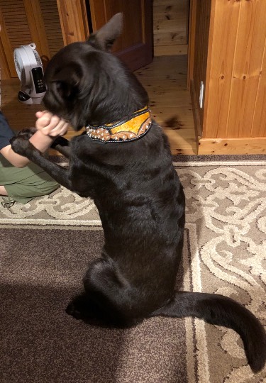 生き物ルーム第17