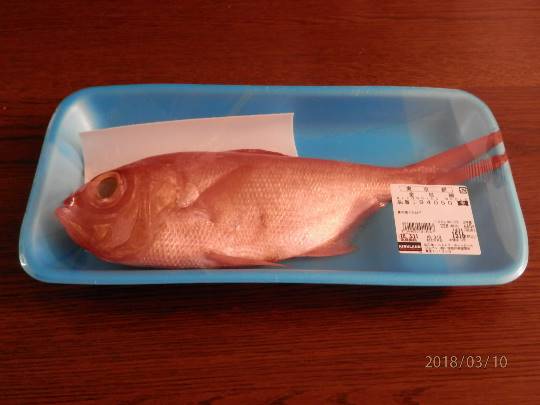 生き物ルーム第18