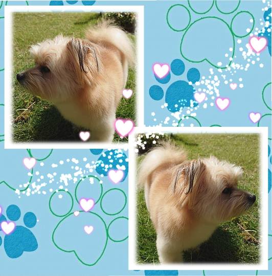 マスク同窓会詰所兼ニューフェイス歓迎所2