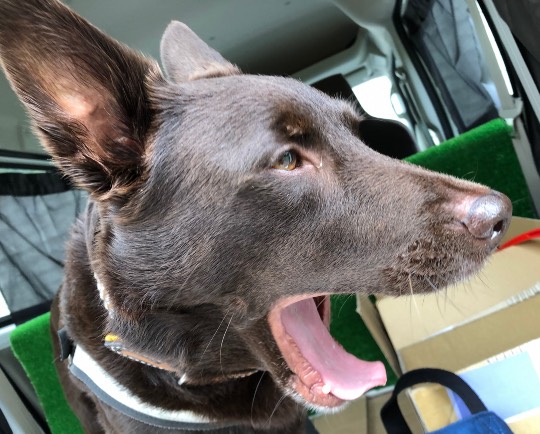 生き物ルーム第17