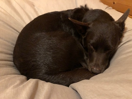 EGG'S CAFE 　卵の俺達ぁ～巣籠もりのプロと言っても過言ではないな(笑)