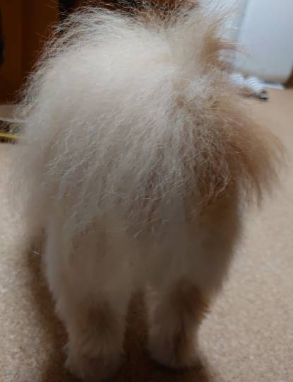 生き物ルーム第17