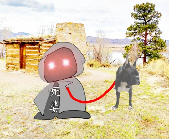 生き物ルーム第17