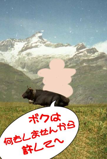 生き物ルーム第18