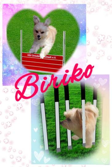 生き物ルーム第18