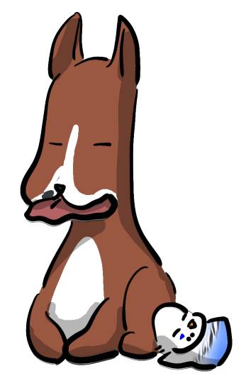 生き物ルーム第17