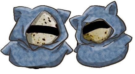 生き物ルーム第17