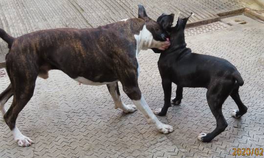 生き物ルーム第18