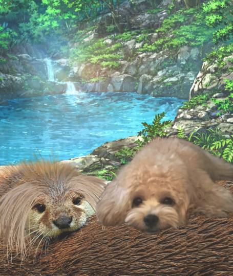 生き物ルーム第17