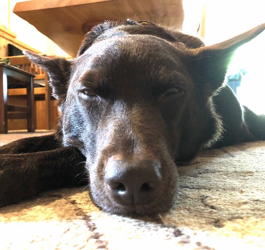 生き物ルーム第17