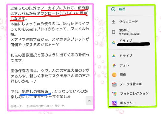 生き物ルーム第17