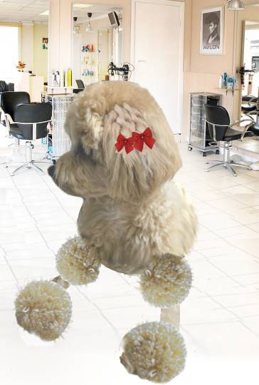 生き物ルーム第17