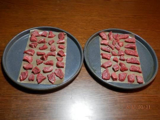 生き物ルーム第17