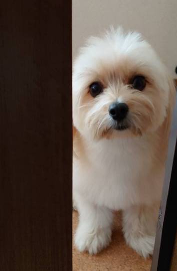 生き物ルーム第18