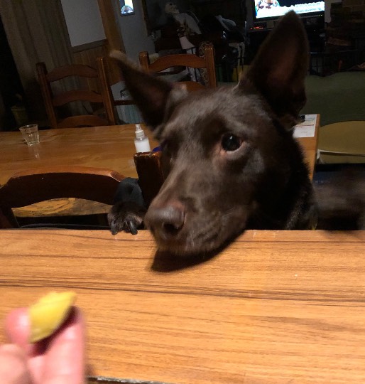 生き物ルーム第16