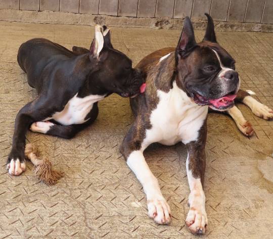 生き物ルーム第17