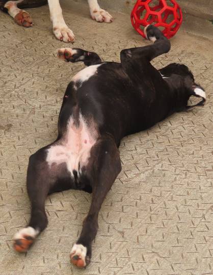 生き物ルーム第18