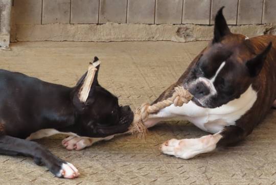 生き物ルーム第16