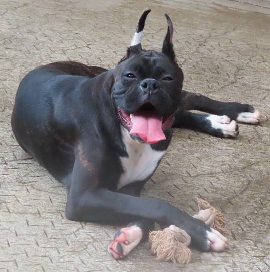 生き物ルーム第18