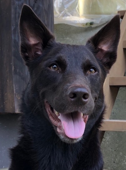 EGG'S CAFE 　Simple is Best 