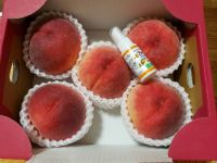 7月30日(木曜日)　浜松倉庫店｜10時前からオープンしてます。
昨日お...