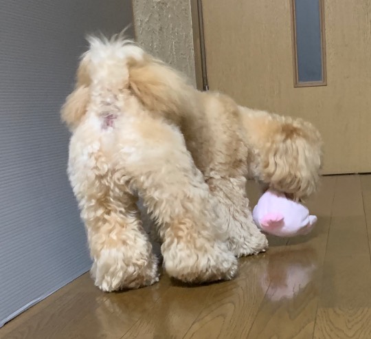 生き物ルーム第21