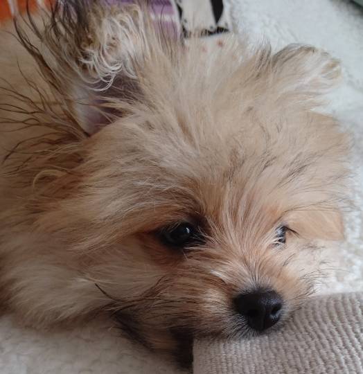 生き物ルーム第21