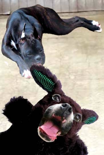 生き物ルーム第21