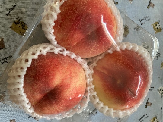 EGG'S CAFE 　Simple is Best 