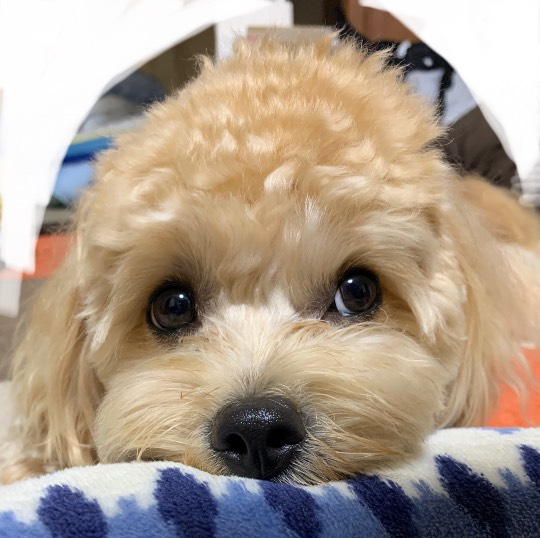 生き物ルーム第19