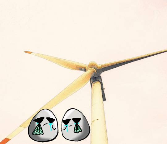 EGG'S CAFE 　Simple is Best 