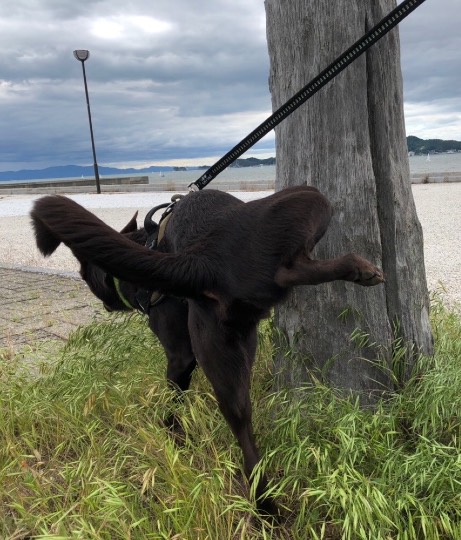 生き物ルーム第20