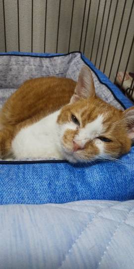 生き物ルーム第21