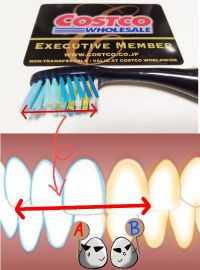 Oral -B 歯ブラシ　